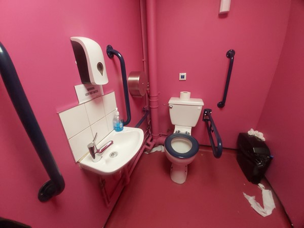 Accessible toilet