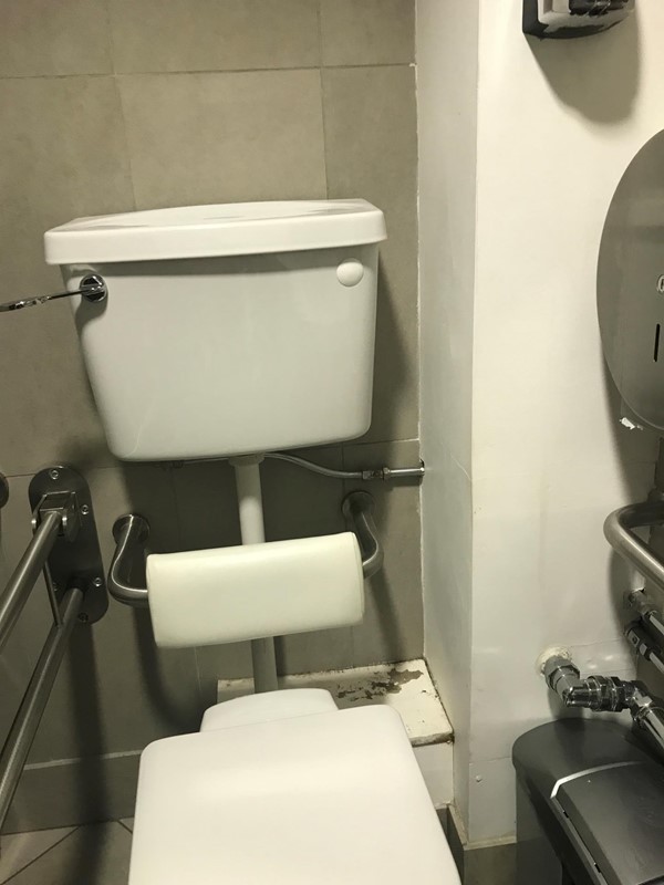 Picture of the accessible toilet