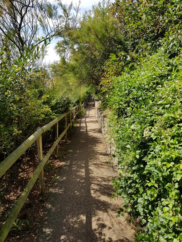 Picture of Lower Leas Coastal Park