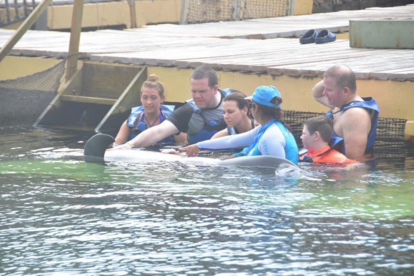 Getting up close and hands on with the dolphins!