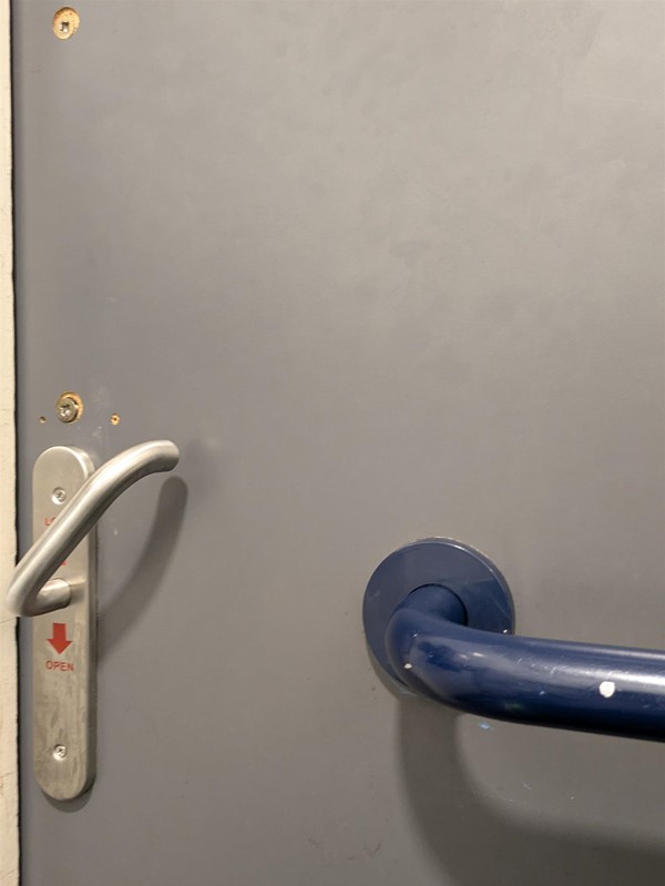 Image of grabrail on toilet door