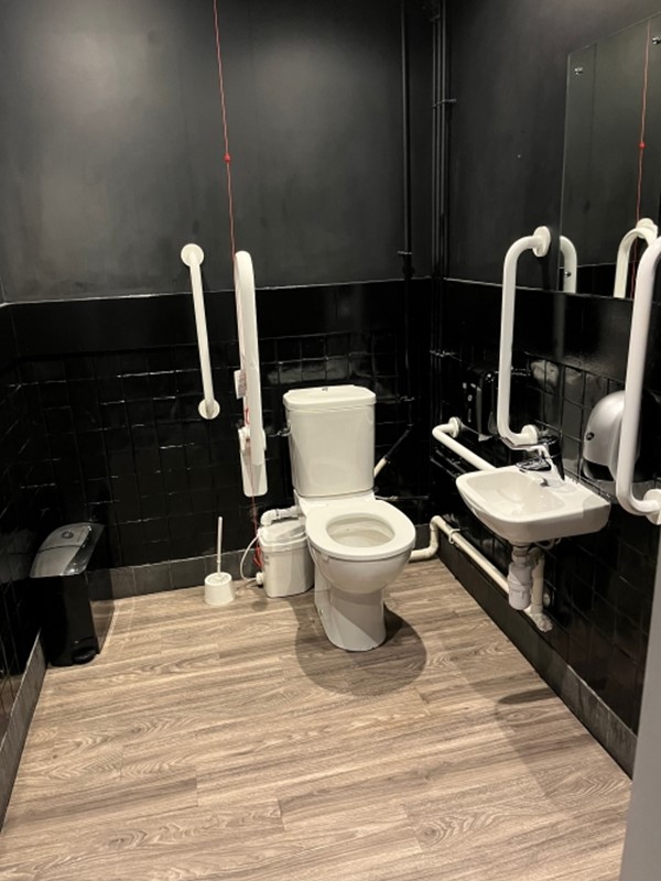 Image of an accessible toilet