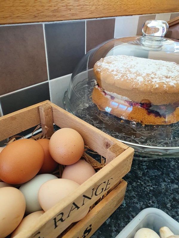 Fabulous homemade cake and fresh eggs on arrival