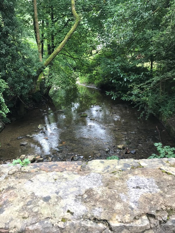 Picture of  Loggerheads Country Park, Mold