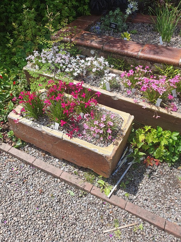 Another image of the flowerbeds on a platform