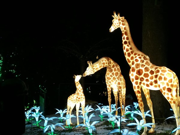 Giraffe Lantern