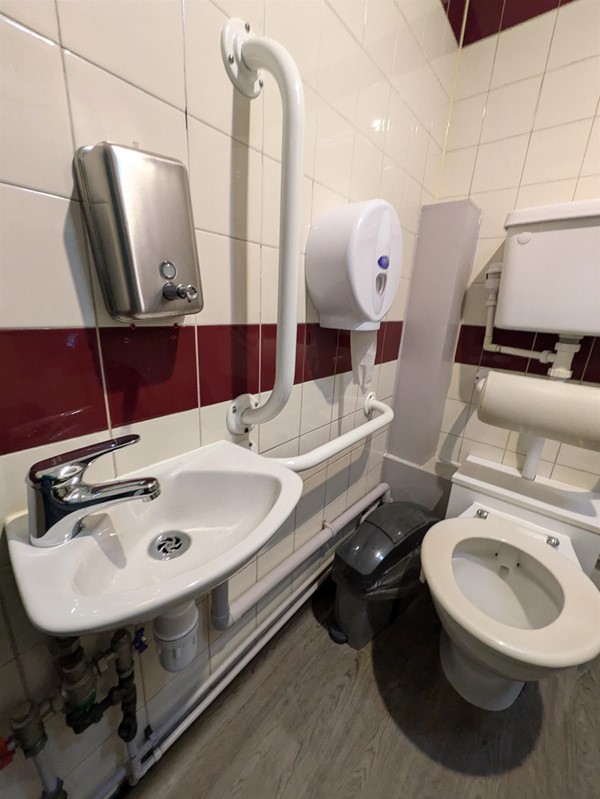 Image of accessible toilet and sink