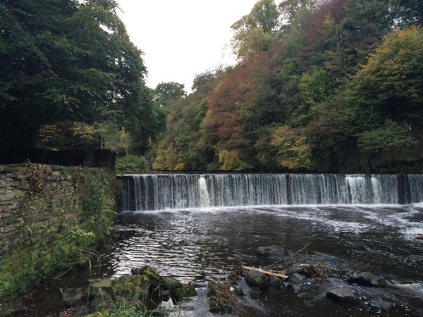 Photo of Almond River in autumn.