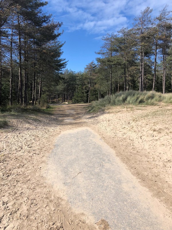 Gravel forest path