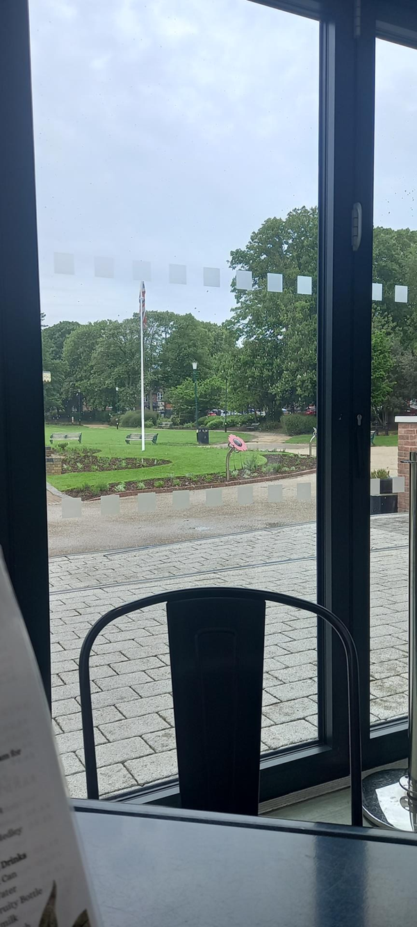 View of Park Gardens from café.