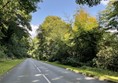 Image of a road with trees on the side