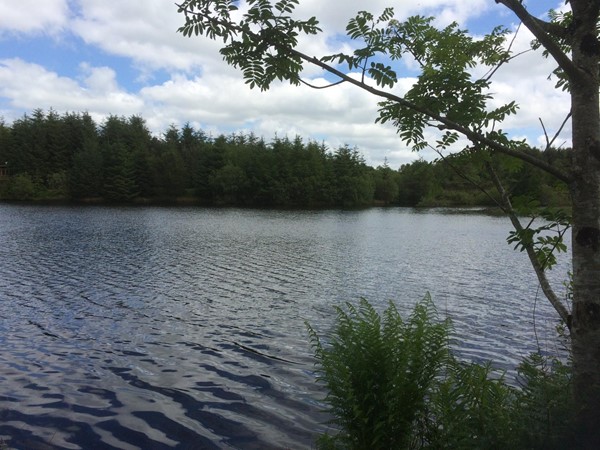 Picture of Bwlch Nant yr Arian - Lake