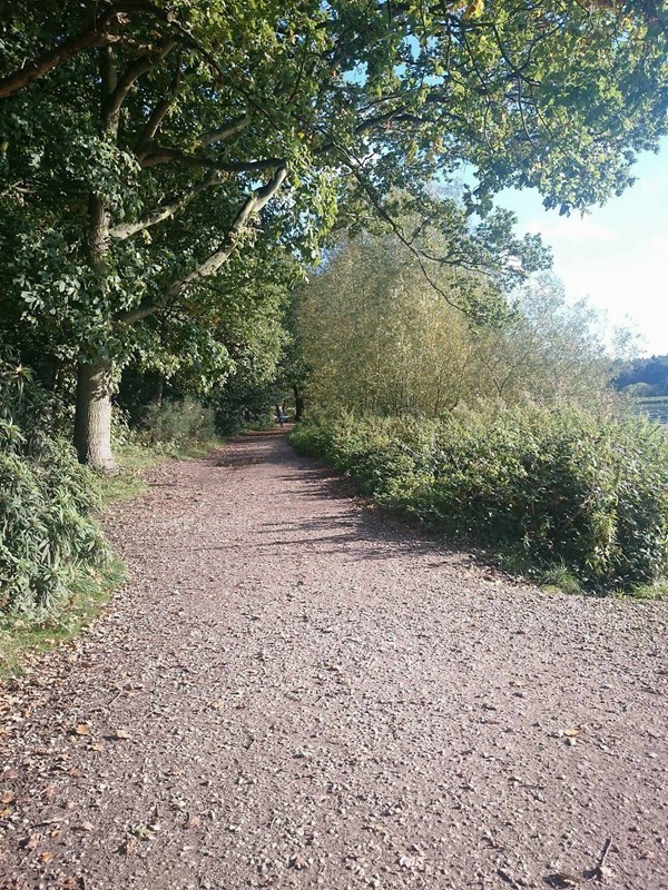 Picture of Clumber Park, Worksop