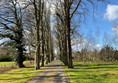 A lovely tree lined avenue