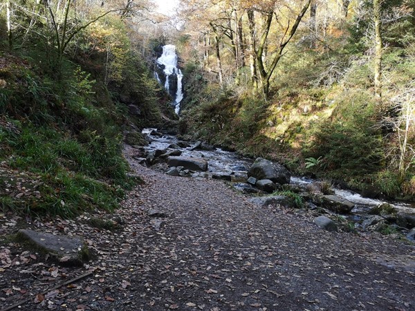 Picture of The Lodge Forest Visitor Centre, Stirling