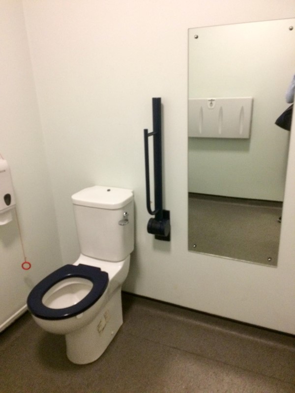 Accessible toilet