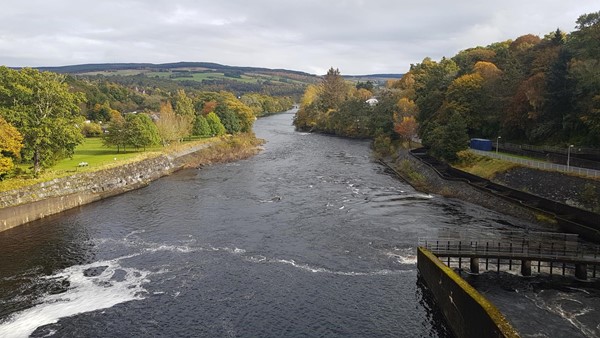 Picture of Pitlochry Dam Visitor Centre