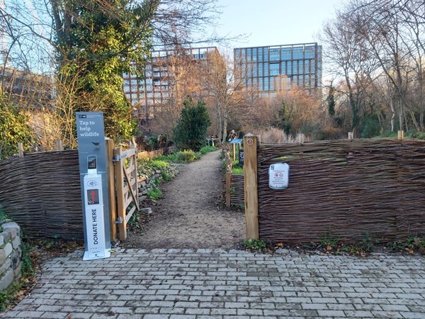 Camley Street Natural Park