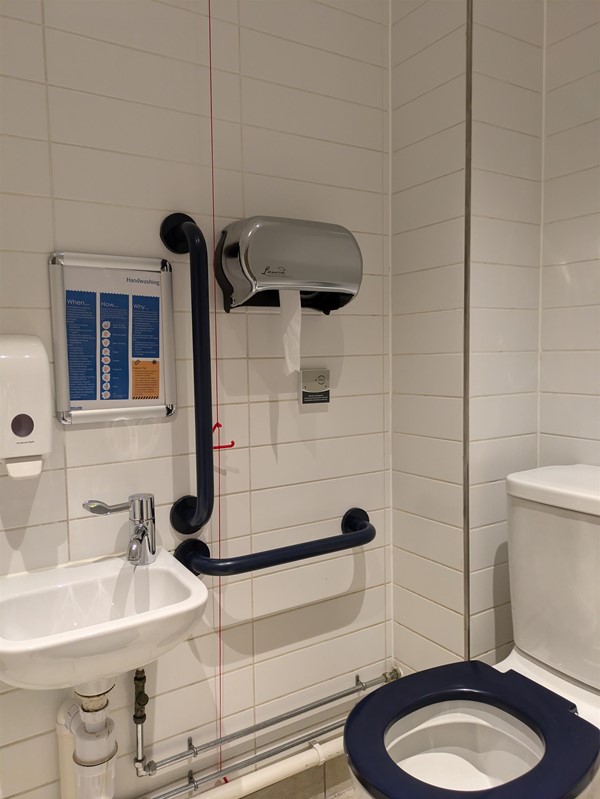 Image of toilet set in accessible toilet