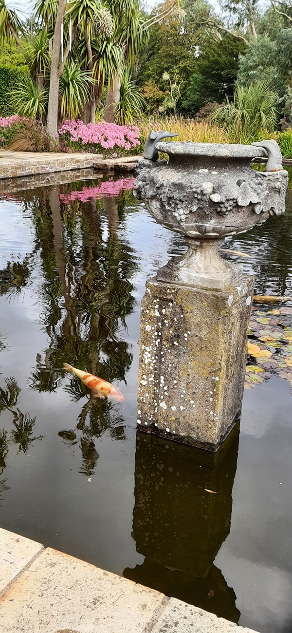 Picture of Logan Botanic Gardens