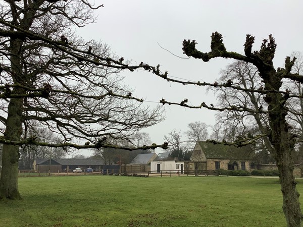 Picture of some barns with trees in the foreground