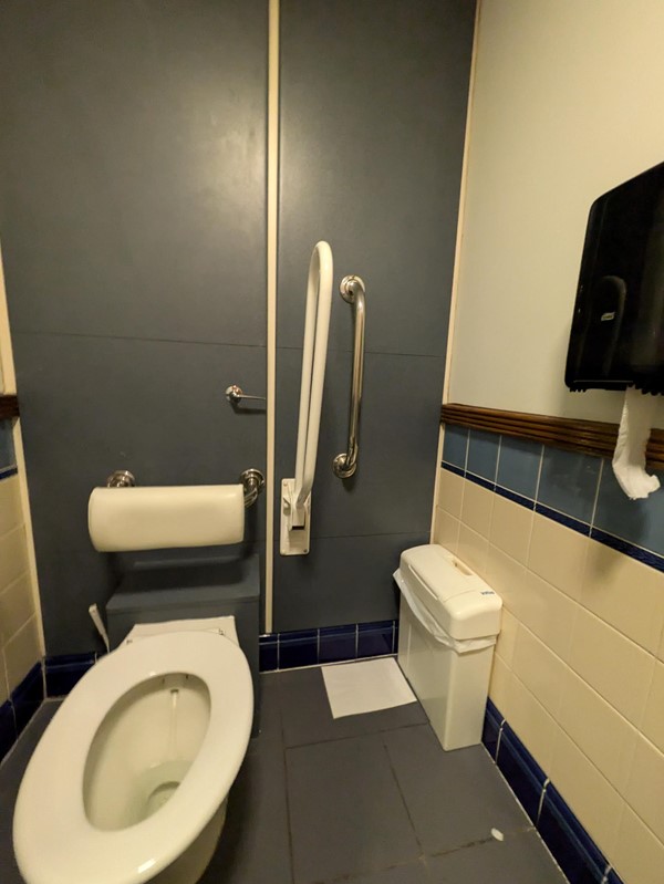 Image of an accessible toilet