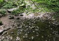 Picture of  Loggerheads Country Park, Mold