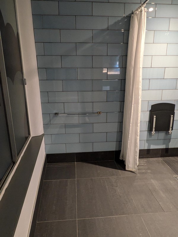 Image of shower space in accessible toilet