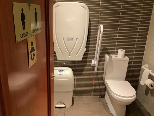 Picture of the accessible toilet at The George Hotel