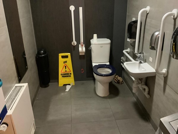 10 disabled toilet