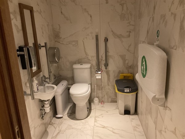 Image of an accessible toilet