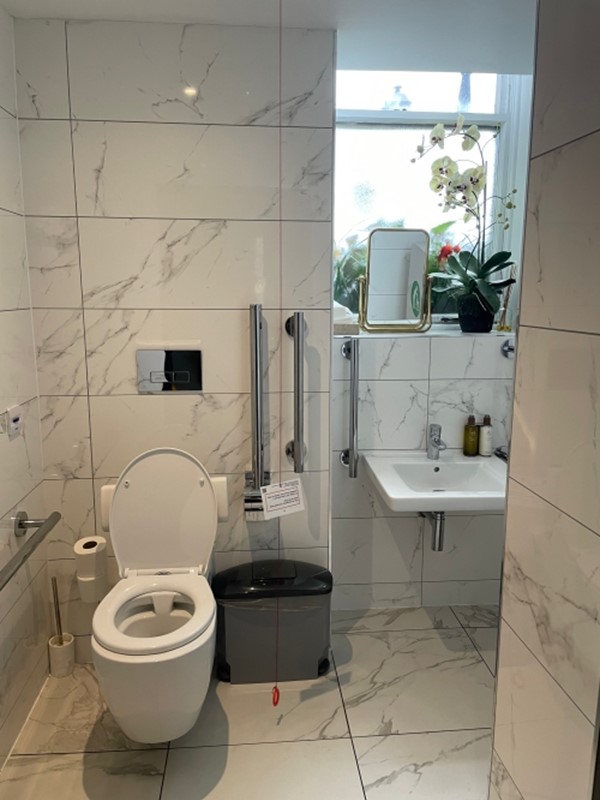 Image of an accessible toilet