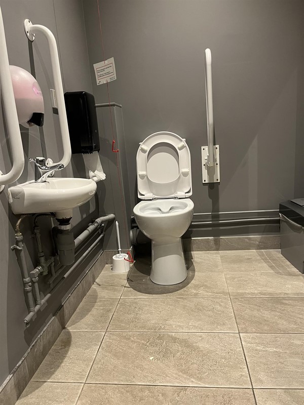 Image of an accessible toilet