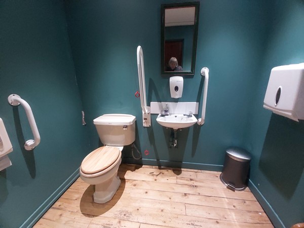 Image of an accessible toilet with a sink and toilet