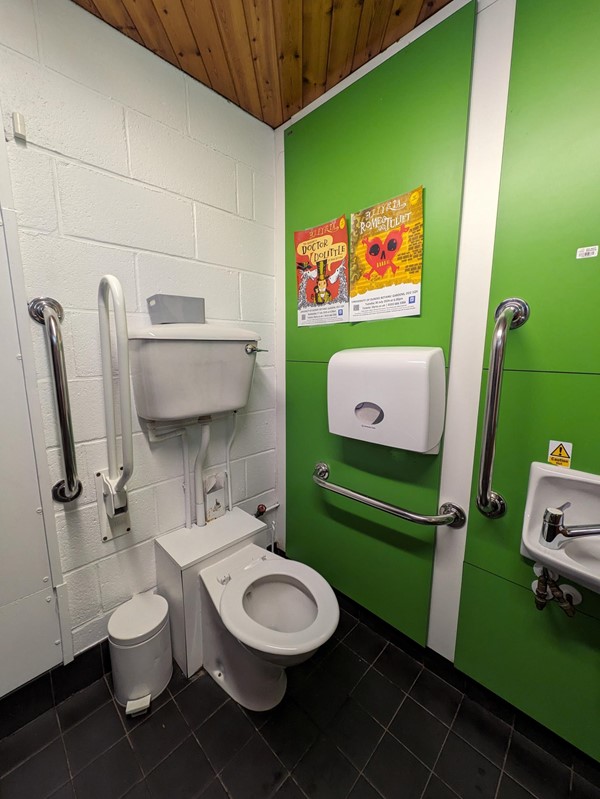 Image of a bathroom with a green wall and an accessible toilet with grabrails