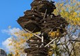 Image of a tree-like sculpture with nesting pigeons