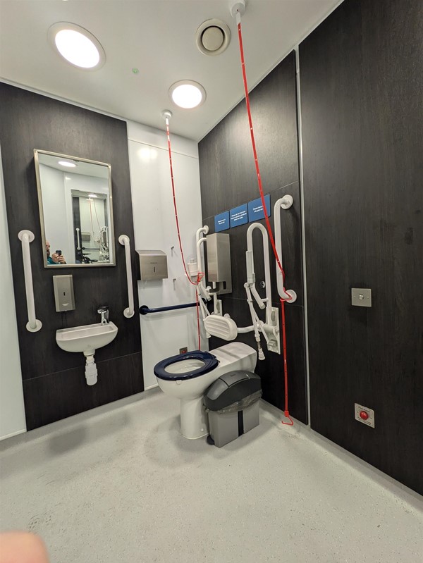 Image of inside the disabled toilet.