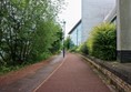 Path through the university gardens.