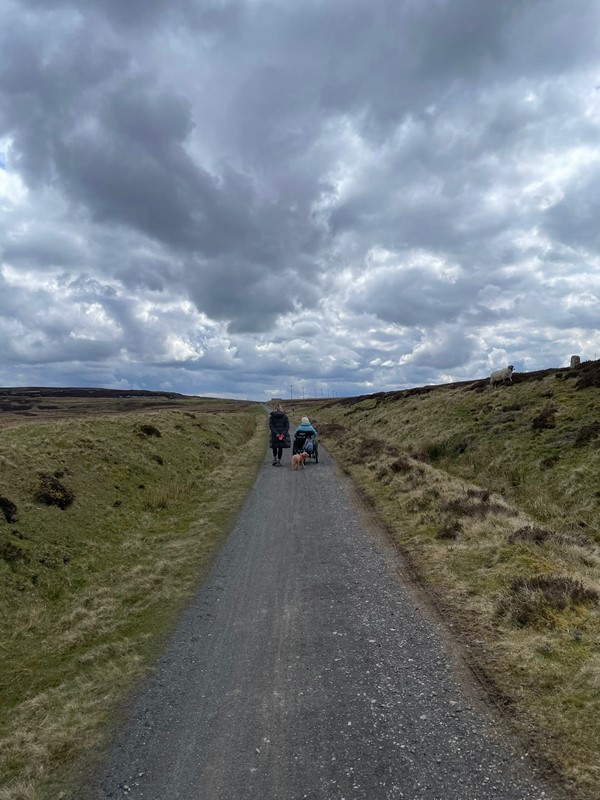 A person walking on a path