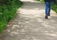 Picture of Cosmeston lakes country park