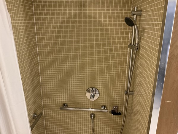 Image of a shower with a hand shower