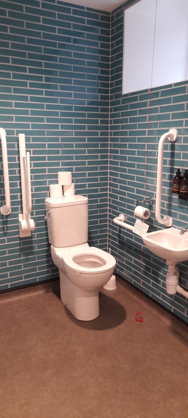 Image of an accessible toilet