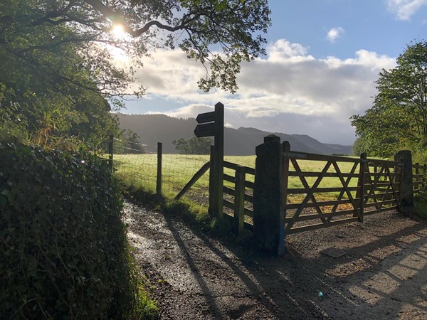 Picture of Derwent Water Walk