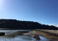 Picure of Billy Frank Jr. Nisqually Wildlife Refuge