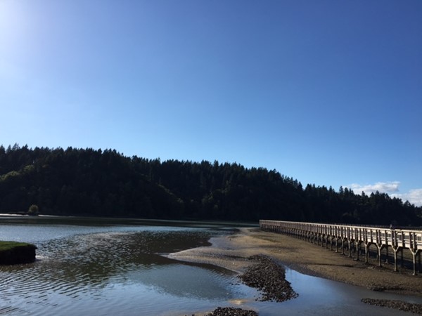 Picure of Billy Frank Jr. Nisqually Wildlife Refuge