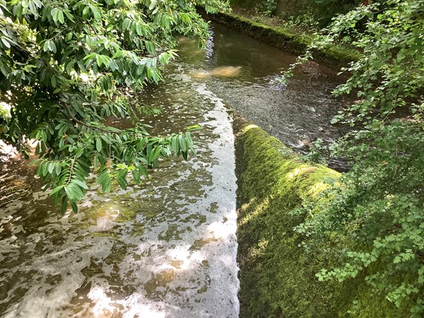 The grounds are divided into two sections by the river Rea