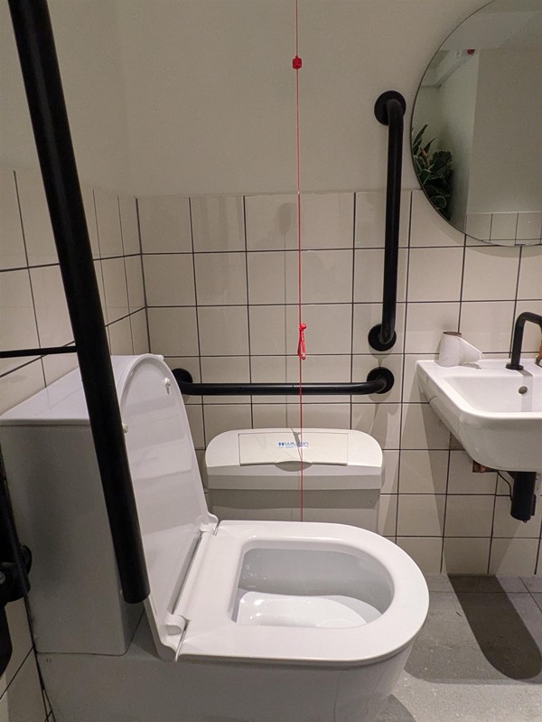 image of toilet seat and rails in accessible toilet.