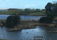 Picture of WWT Castle Espie Wetland Centre