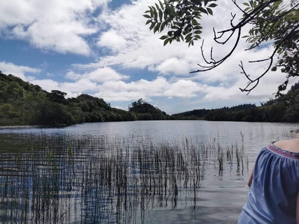 Picture of Knapdale Scottish Beaver Trial