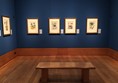 Photo of Maria Merian's Butterflies exhibition.